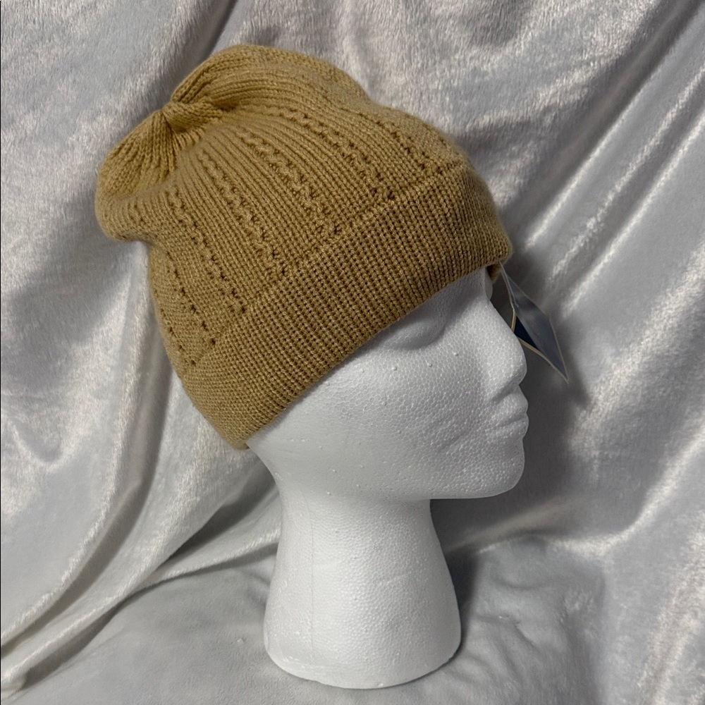 ⛄️NWT Cozy Tan Knit Beanie by Echo⛄️